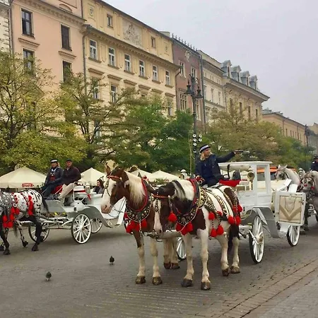 Studio Appartment In Old Town Krakow-2